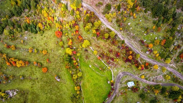 Sonbaharın gelişi ile sakin şehir Şavşat’ta renk cümbüşü başladı 6