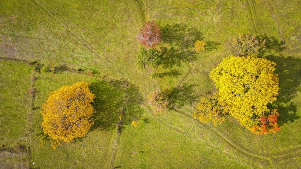 Sonbaharın gelişi ile sakin şehir Şavşat’ta renk cümbüşü başladı 12