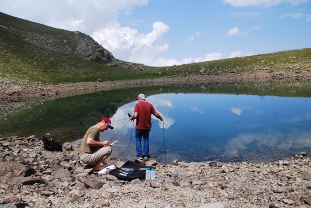 Karadeniz'de bilim insanları 41 alg türü keşfetti 13