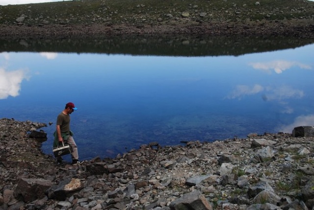 Karadeniz'de bilim insanları 41 alg türü keşfetti 15