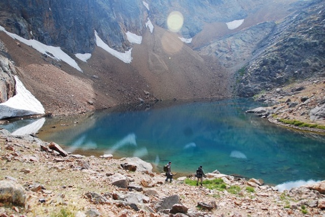 Karadeniz'de bilim insanları 41 alg türü keşfetti 7