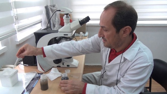 Karadeniz'de bilim insanları 41 alg türü keşfetti 4