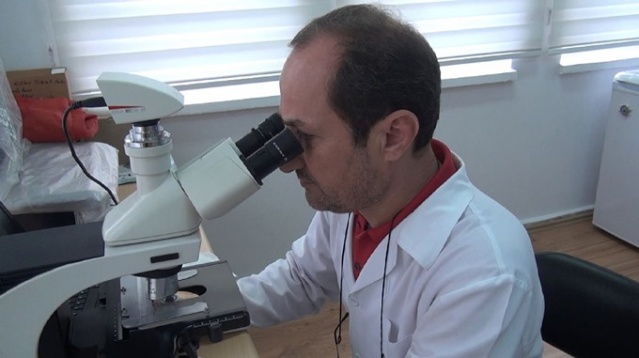 Karadeniz'de bilim insanları 41 alg türü keşfetti 11