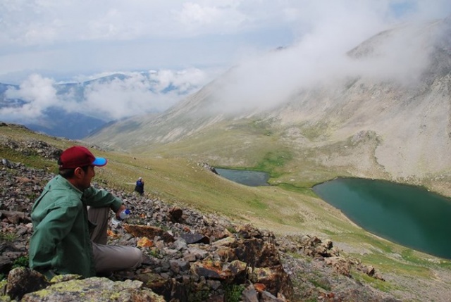 Karadeniz'de bilim insanları 41 alg türü keşfetti 5