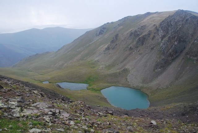 Karadeniz'de bilim insanları 41 alg türü keşfetti 3