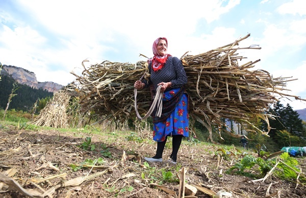 Doğu Karadeniz'in çalışkan kadınları "güz" telaşında 18