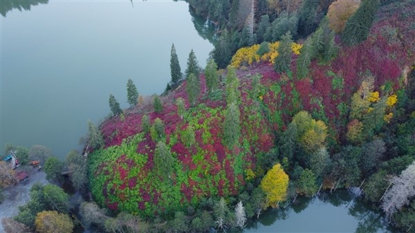 Borçka Karagöl'den sonbahar manzaraları 9