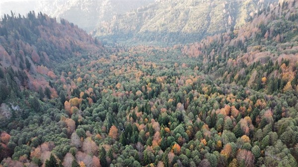 Borçka Karagöl'den sonbahar manzaraları 12