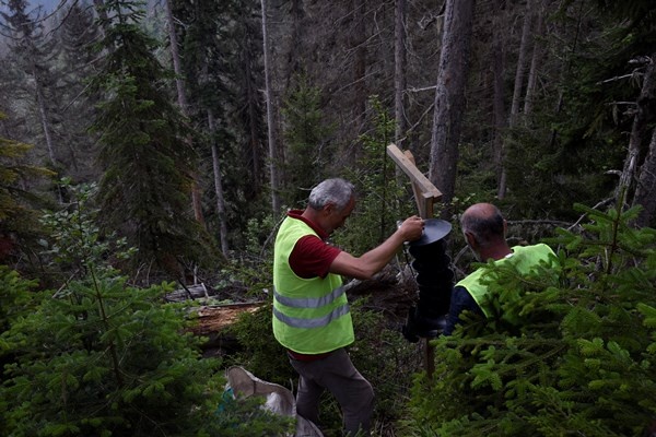 Artvin'de Milli Parkta 700 hektarlık alan istila altında 11