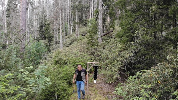 Artvin'de Milli Parkta 700 hektarlık alan istila altında 10
