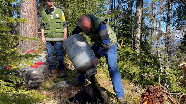 Artvin'de Milli Parkta 700 hektarlık alan istila altında 8