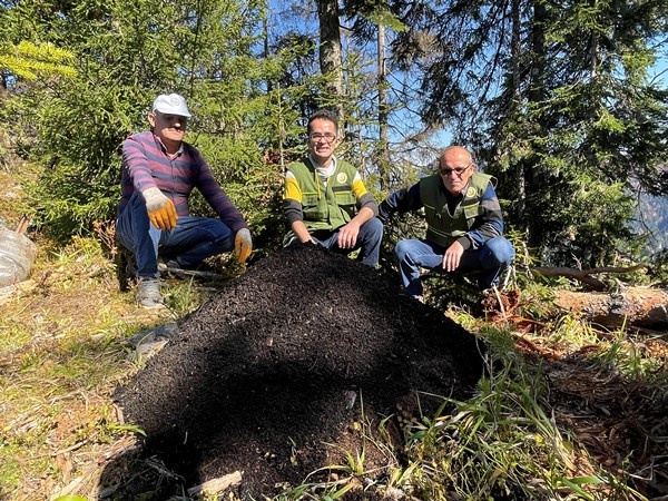 Artvin'de Milli Parkta 700 hektarlık alan istila altında 9