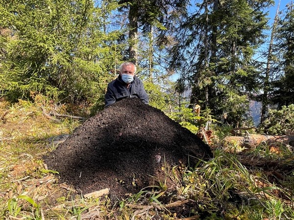 Artvin'de Milli Parkta 700 hektarlık alan istila altında 14