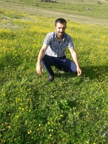 Gümüşhane’de kamyonet uçuruma yuvarlandı: 2 ölü, 1 yaralı 11