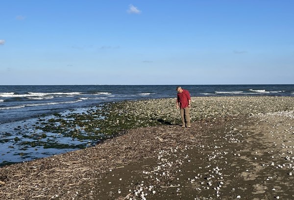 Karadeniz kıyısından topladığı ağaç parçalarını sanat eserine dönüştürüyor 5