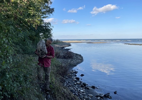 Karadeniz kıyısından topladığı ağaç parçalarını sanat eserine dönüştürüyor 4