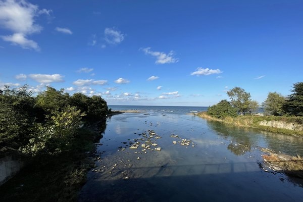 Karadeniz kıyısından topladığı ağaç parçalarını sanat eserine dönüştürüyor 3