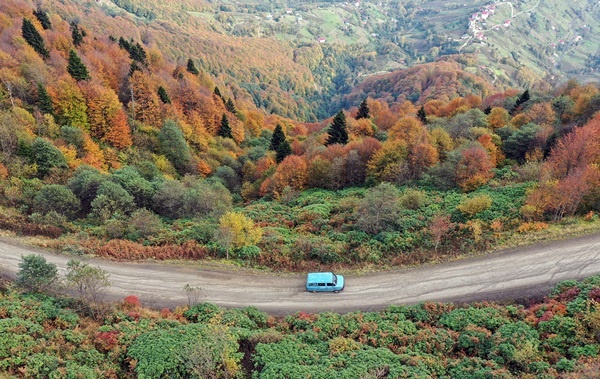 Trabzon'un 1600 rakımlı Hıdırnebi Yaylası'nda güz zamanı 18