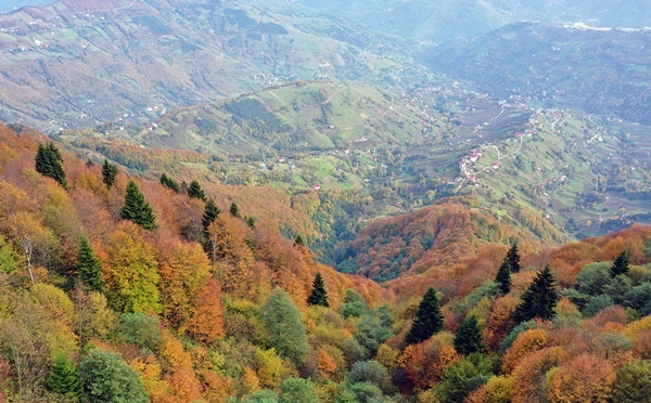 Trabzon'un 1600 rakımlı Hıdırnebi Yaylası'nda güz zamanı 11