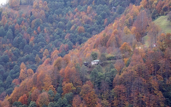 Trabzon'un 1600 rakımlı Hıdırnebi Yaylası'nda güz zamanı 10