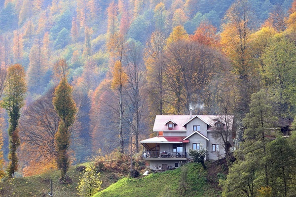 Trabzon'un 1600 rakımlı Hıdırnebi Yaylası'nda güz zamanı 17