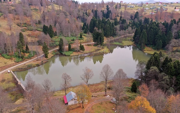 Trabzon'un 1600 rakımlı Hıdırnebi Yaylası'nda güz zamanı 8