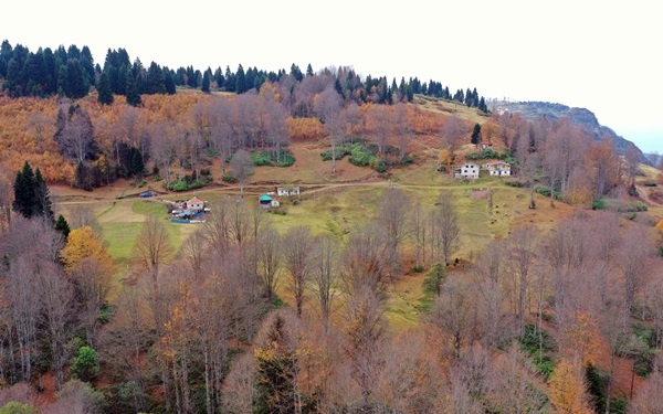 Trabzon'un 1600 rakımlı Hıdırnebi Yaylası'nda güz zamanı 3