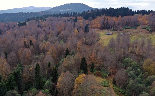 Trabzon'un 1600 rakımlı Hıdırnebi Yaylası'nda güz zamanı 2