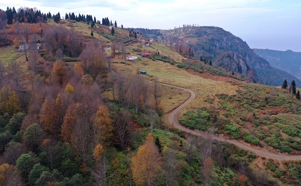 Trabzon'un 1600 rakımlı Hıdırnebi Yaylası'nda güz zamanı 4