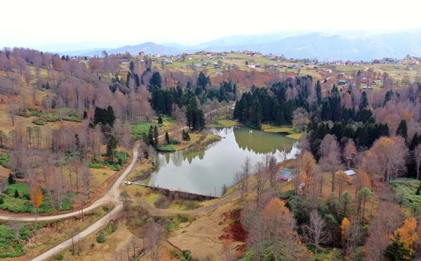 Trabzon'un 1600 rakımlı Hıdırnebi Yaylası'nda güz zamanı 9