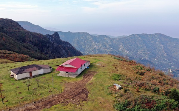 Trabzon'un 1600 rakımlı Hıdırnebi Yaylası'nda güz zamanı 5