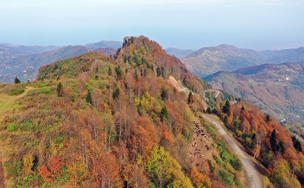 Trabzon'un 1600 rakımlı Hıdırnebi Yaylası'nda güz zamanı 14