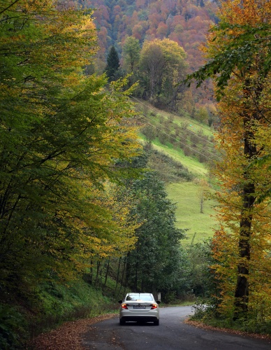 Trabzon'un 1600 rakımlı Hıdırnebi Yaylası'nda güz zamanı 20