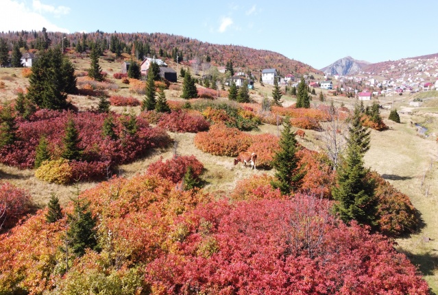 Sis Dağı'ndan sonbahar manzaraları 9