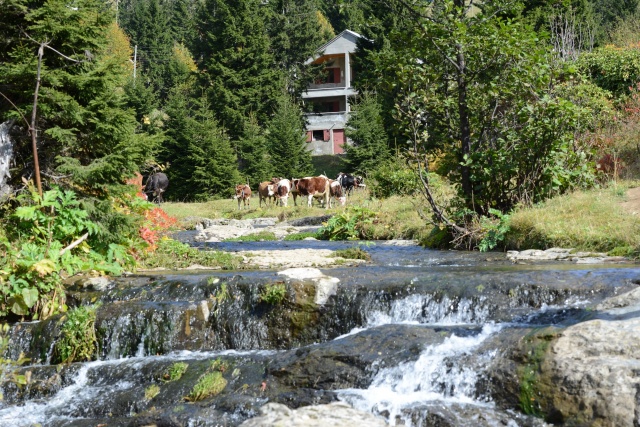 Sis Dağı'ndan sonbahar manzaraları 11