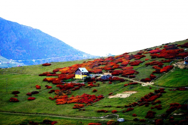 Sis Dağı'ndan sonbahar manzaraları 4