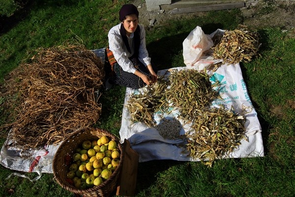 Karadenizli kadınlar kış hazırlıklarını sürdürüyor. 11