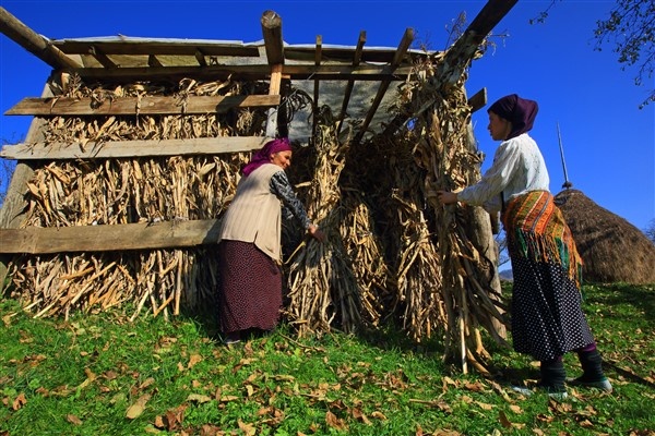 Karadenizli kadınlar kış hazırlıklarını sürdürüyor. 12