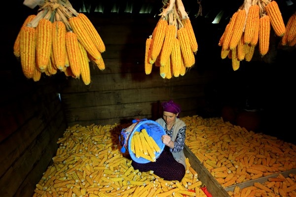 Karadenizli kadınlar kış hazırlıklarını sürdürüyor. 7