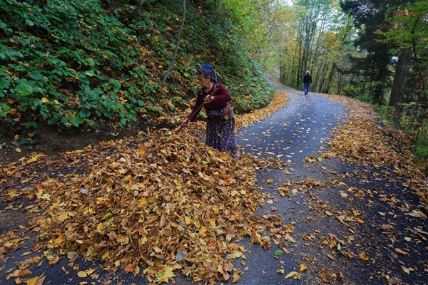Karadenizli kadınlar kış hazırlıklarını sürdürüyor. 8