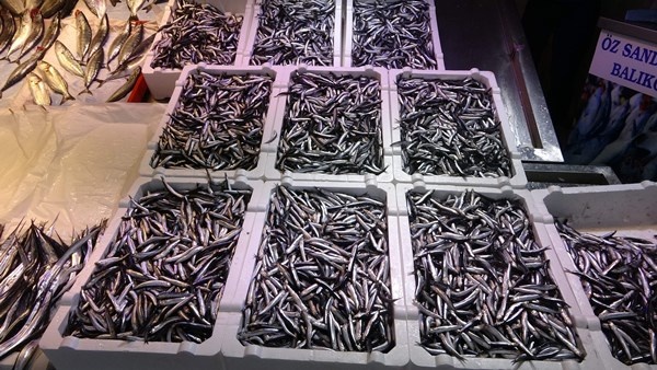 Trabzon'da fırtına! Uçak seferleri iptal, hamsi fiyatları fırladı 6