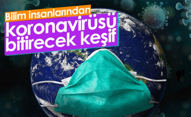 Bilim insanlarından koronavirüsü bitirecek keşif 1
