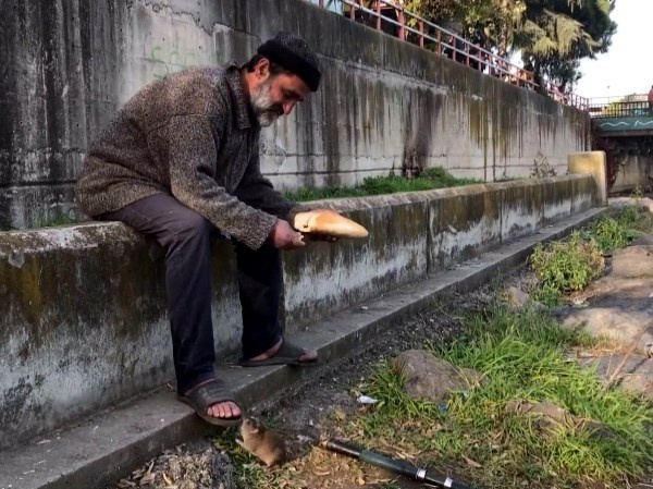 Görenleri şaşırtan dostluk! Trabzonlu kimsesiz adam elleriyle besliyor. 4