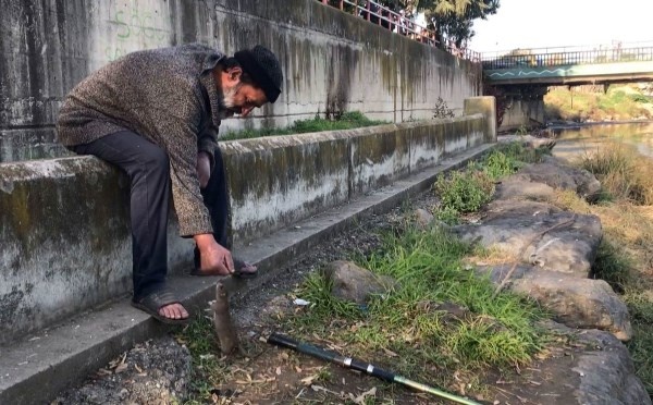 Görenleri şaşırtan dostluk! Trabzonlu kimsesiz adam elleriyle besliyor. 7