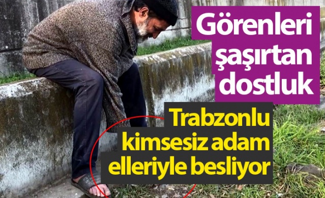 Görenleri şaşırtan dostluk! Trabzonlu kimsesiz adam elleriyle besliyor. 1