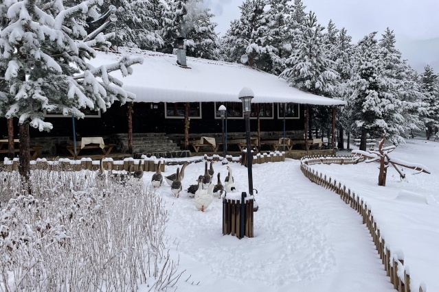 Limni Gölü'nden eşsiz kar manzaraları 14