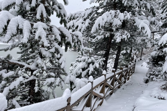 Limni Gölü'nden eşsiz kar manzaraları 12