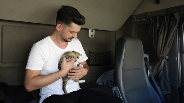 Trabzonlu TIR şoförünün yol arkadaşı 'kedi' 7