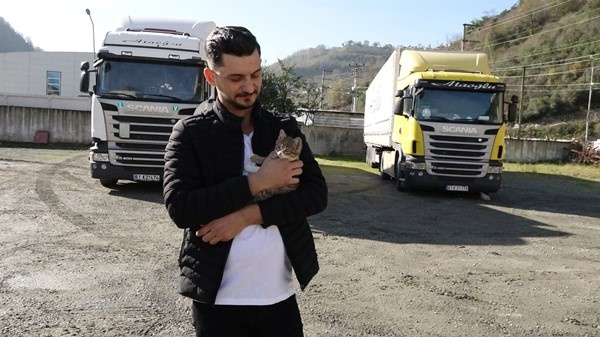 Trabzonlu TIR şoförünün yol arkadaşı 'kedi' 15