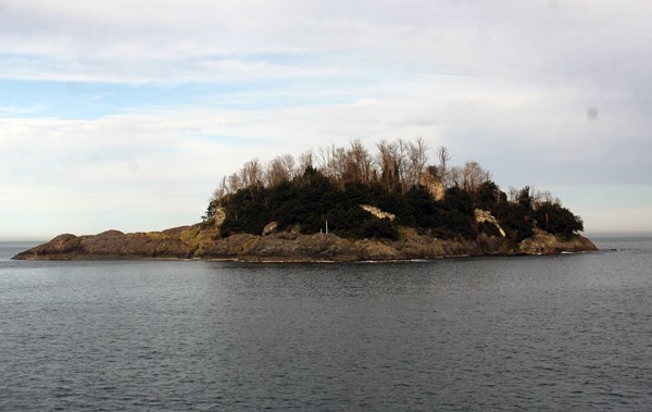 Giresun Adası’nda kazılar yeniden başlayacak 8